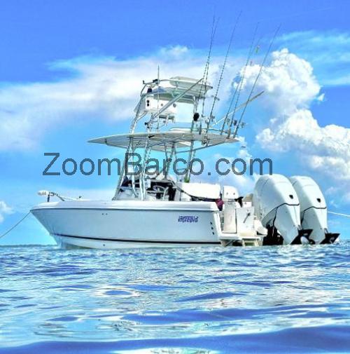 Intrepid 300 Center Console ficha tecnica